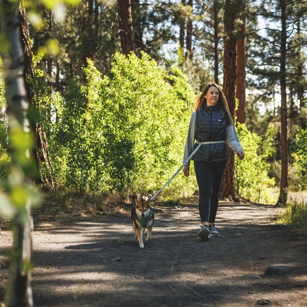Dog Leashes
