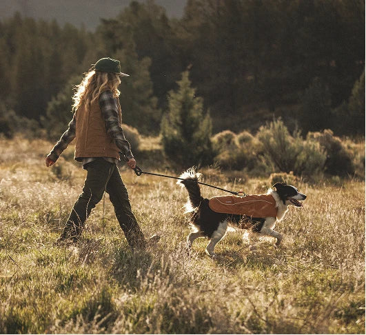 Dog Jackets & Apparel