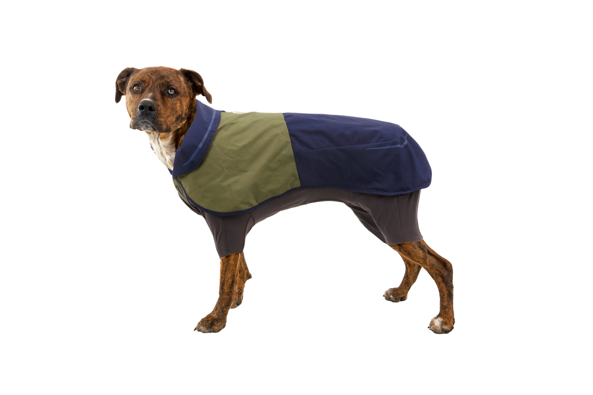 Sun Shower™ Coverall Dog Rain Suit
