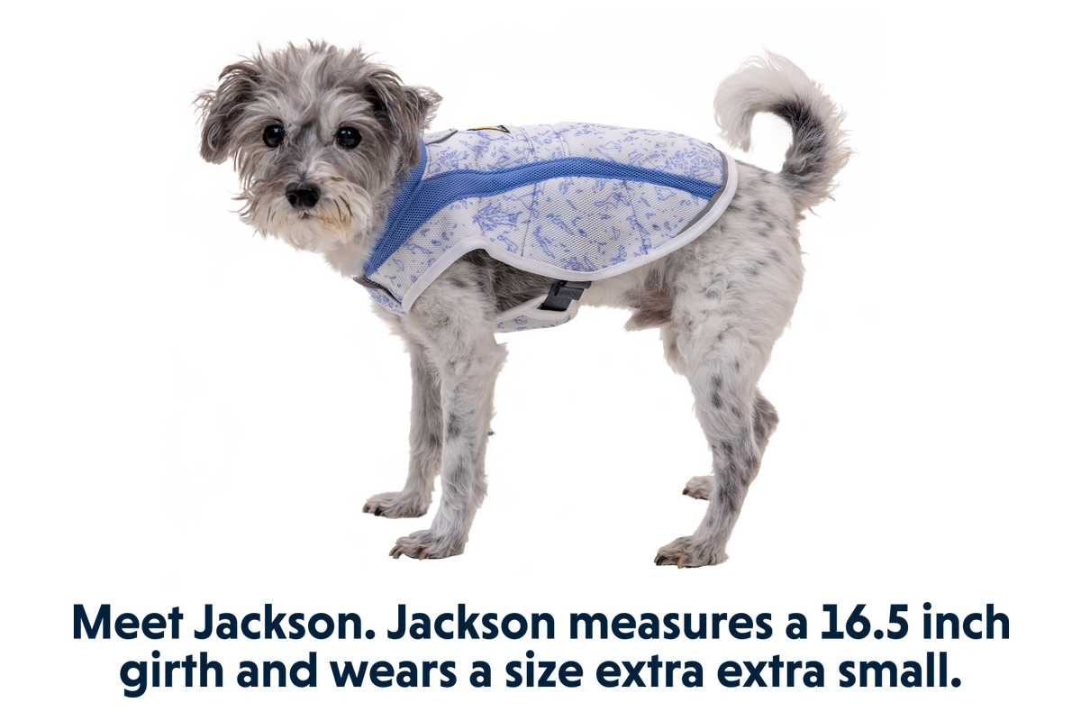 Swamp Cooler™ Cooling Dog Vest
