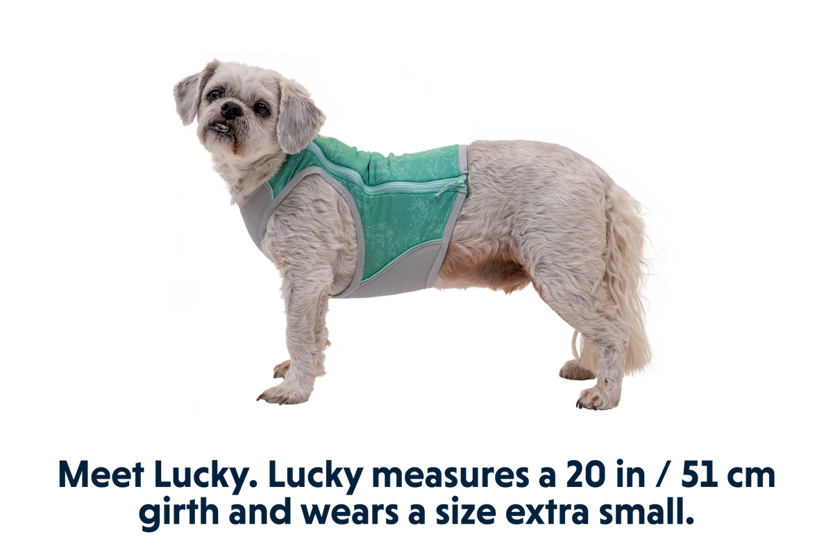 Swamp Cooler Zip™ Cooling Dog Vest