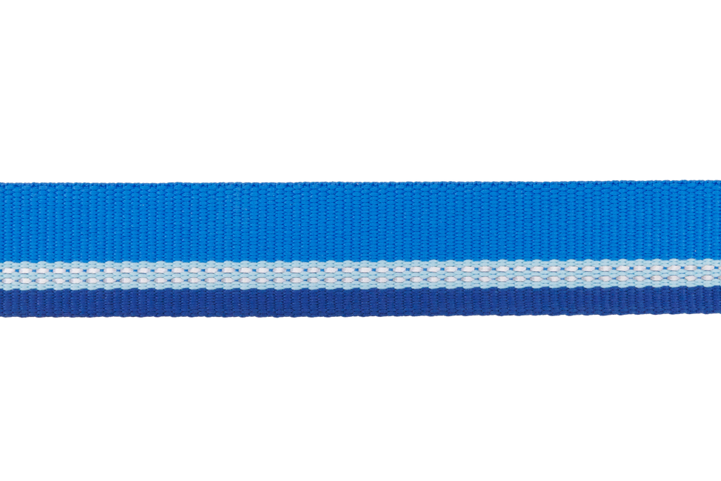 Top Rope™ Metal Buckle Dog Collar