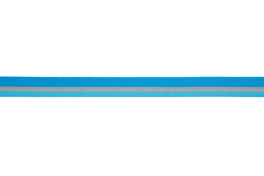 Web Reaction™ Martingale Dog Collar With Buckle