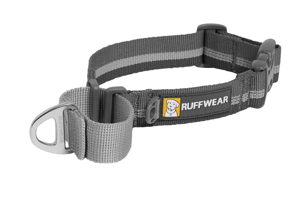 Web Reaction™ Martingale Dog Collar With Buckle