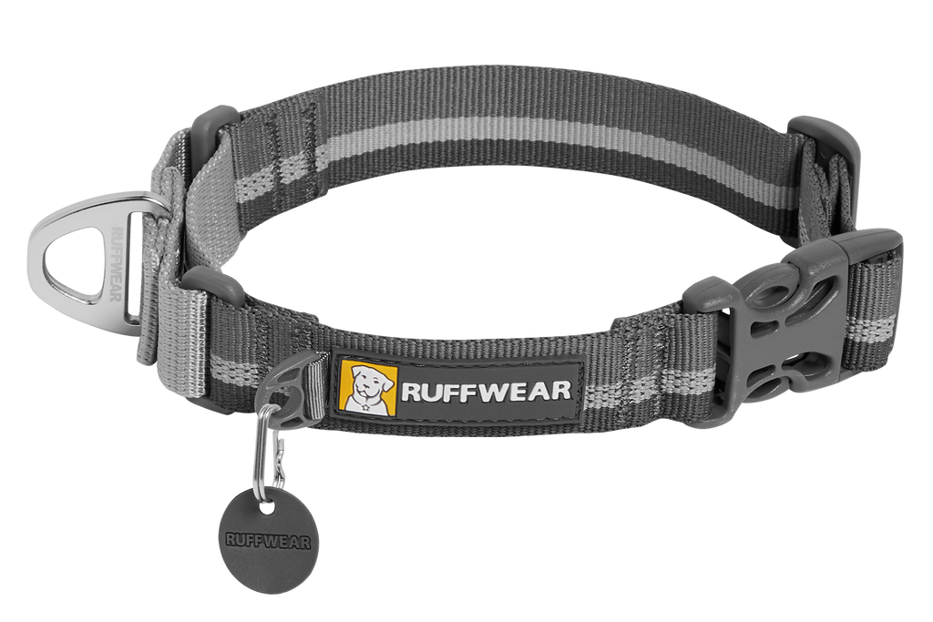 Web Reaction™ Martingale Dog Collar With Buckle
