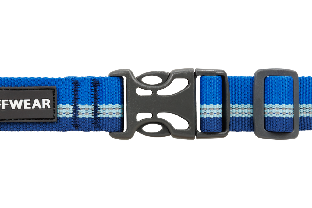 Web Reaction™ Martingale Dog Collar With Buckle