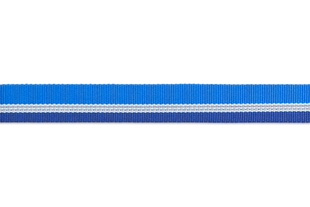 Chain Reaction™ Martingale Dog Collar