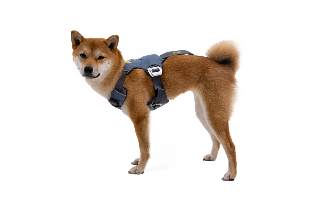 Load Up™ Dog Car Harness