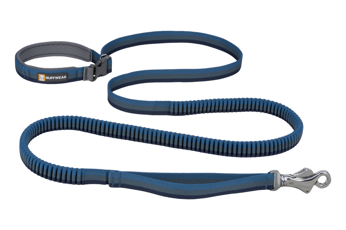 Roamer™ Bungee Dog Leash