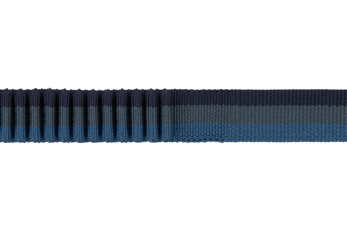 Roamer™ Bungee Dog Leash