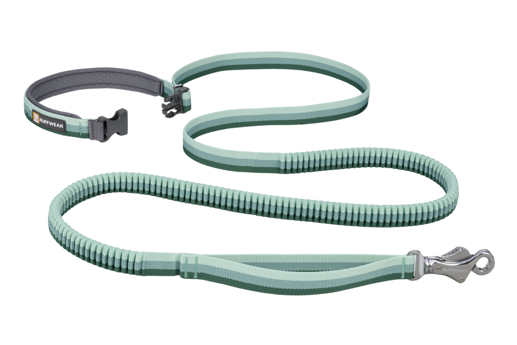 Roamer™ Bungee Dog Leash