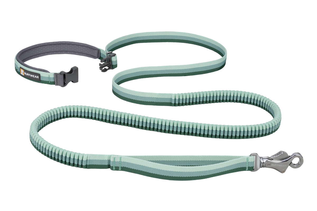 Roamer™ Bungee Dog Leash