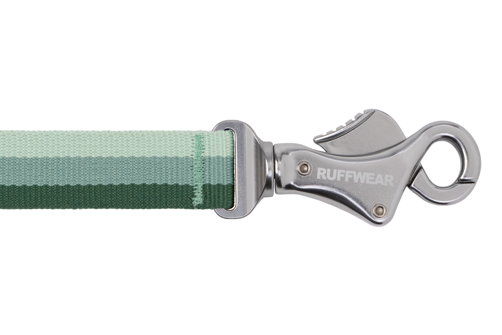 Roamer™ Bungee Dog Leash