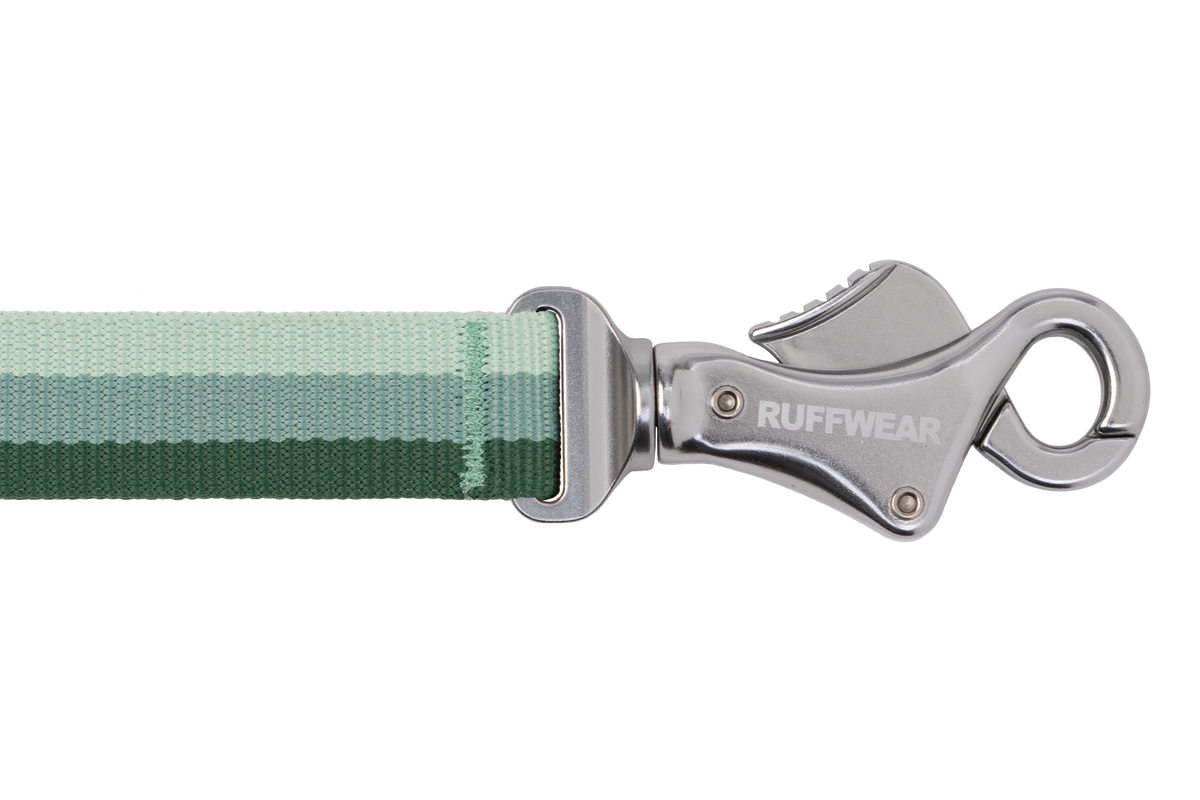 Roamer™ Bungee Dog Leash