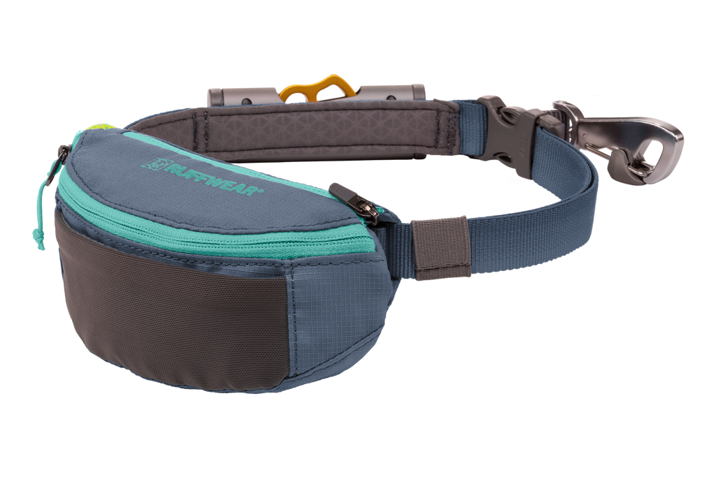 Hitch Hiker™ Leash