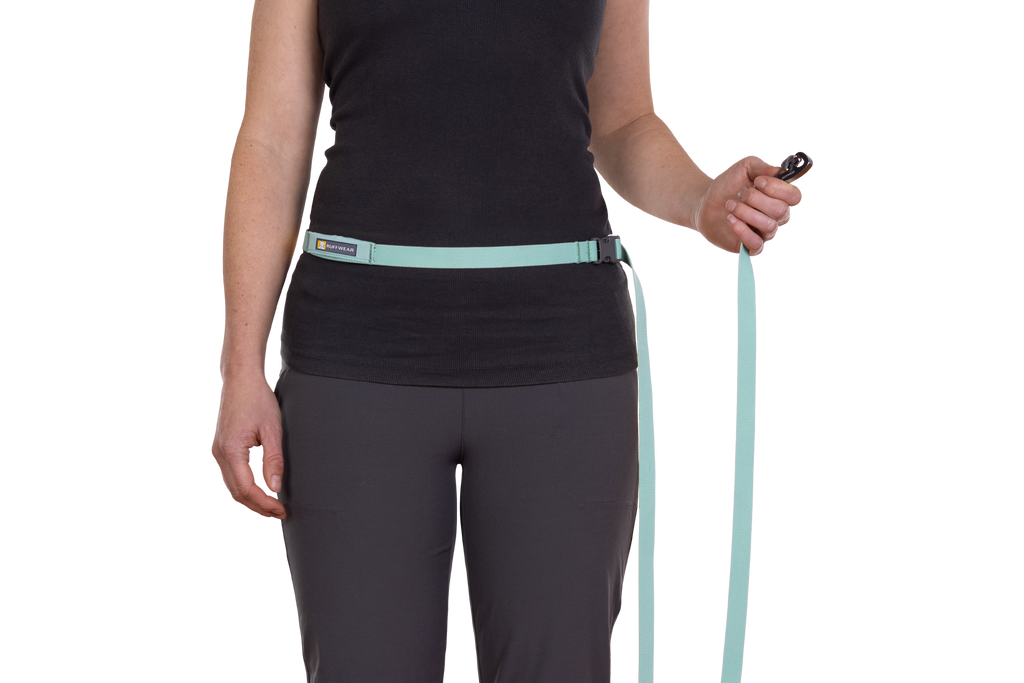 Flagline™ Dog Leash