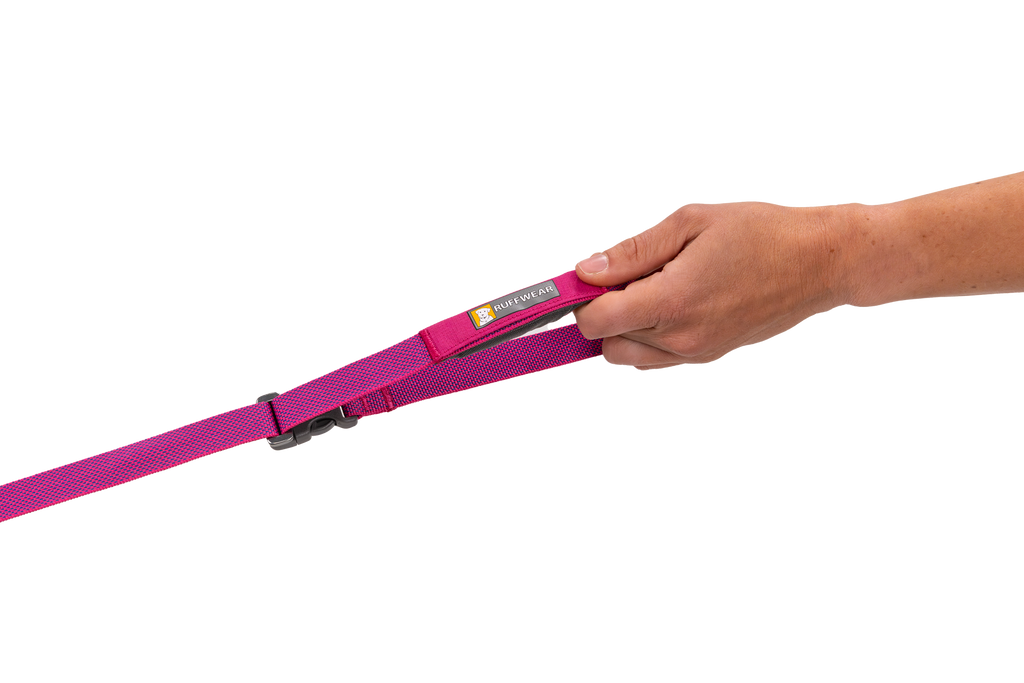 Flagline™ Dog Leash