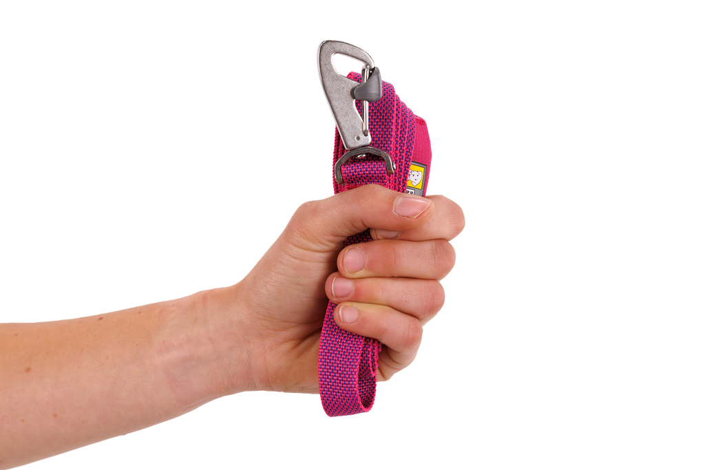Flagline™ Dog Leash