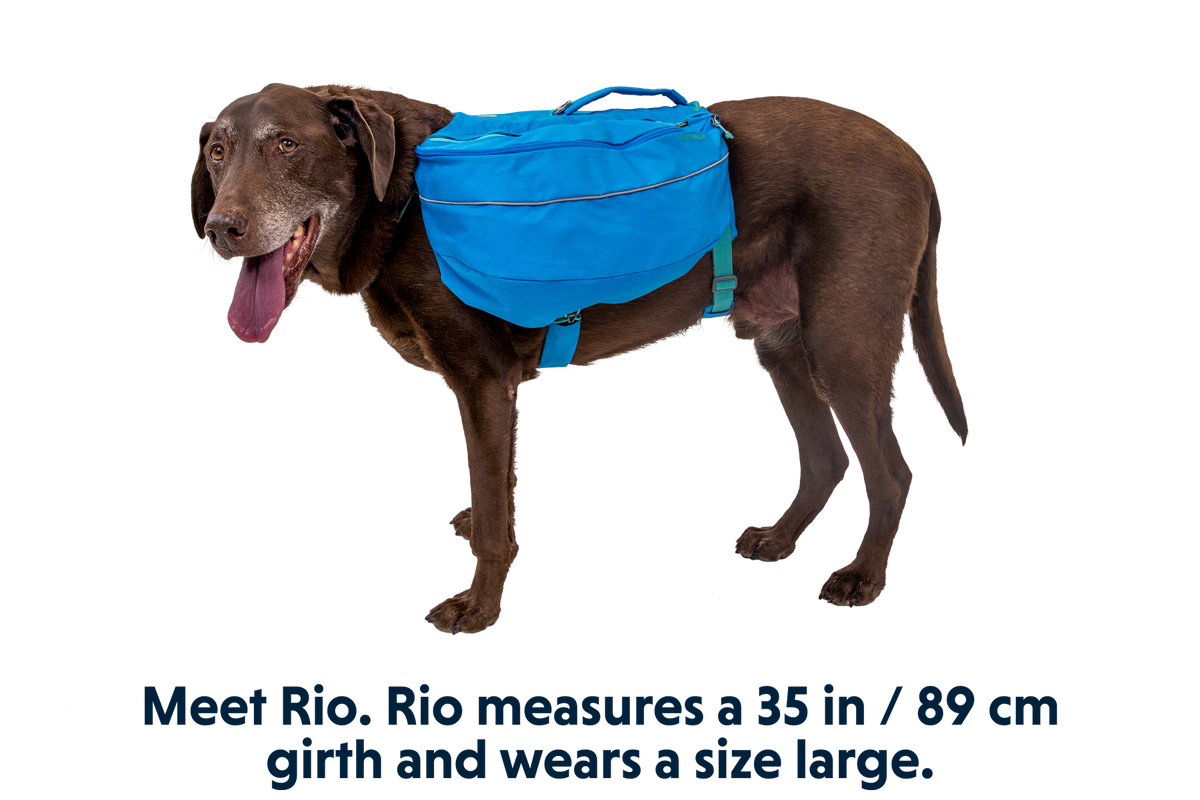 Approach™ Dog Backpack