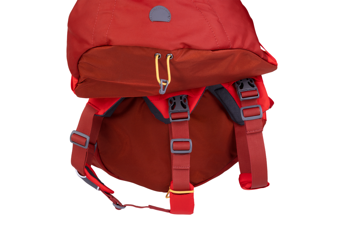 Palisades™ Dog Backpack