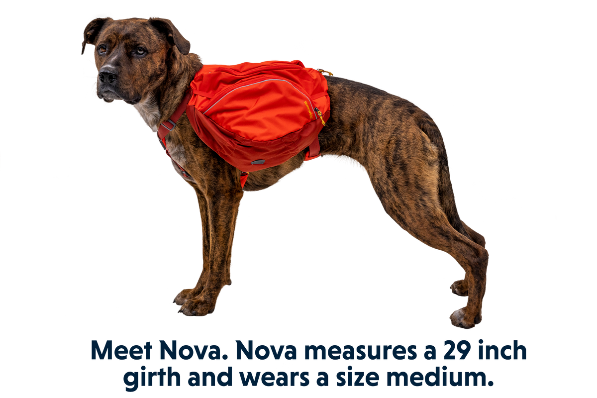Palisades™ Dog Backpack