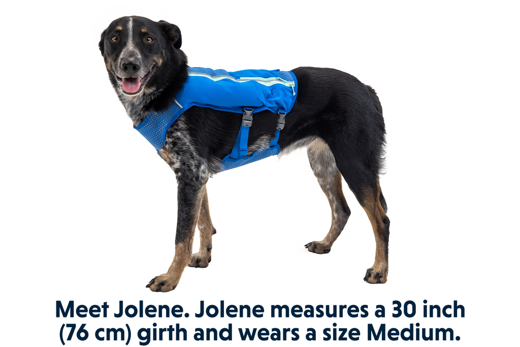 Trail Runner™ Dog Running Vest