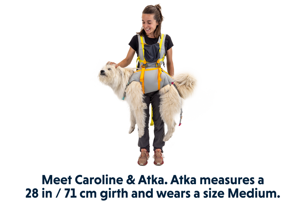 BackTrak™ Dog Evacuation Kit