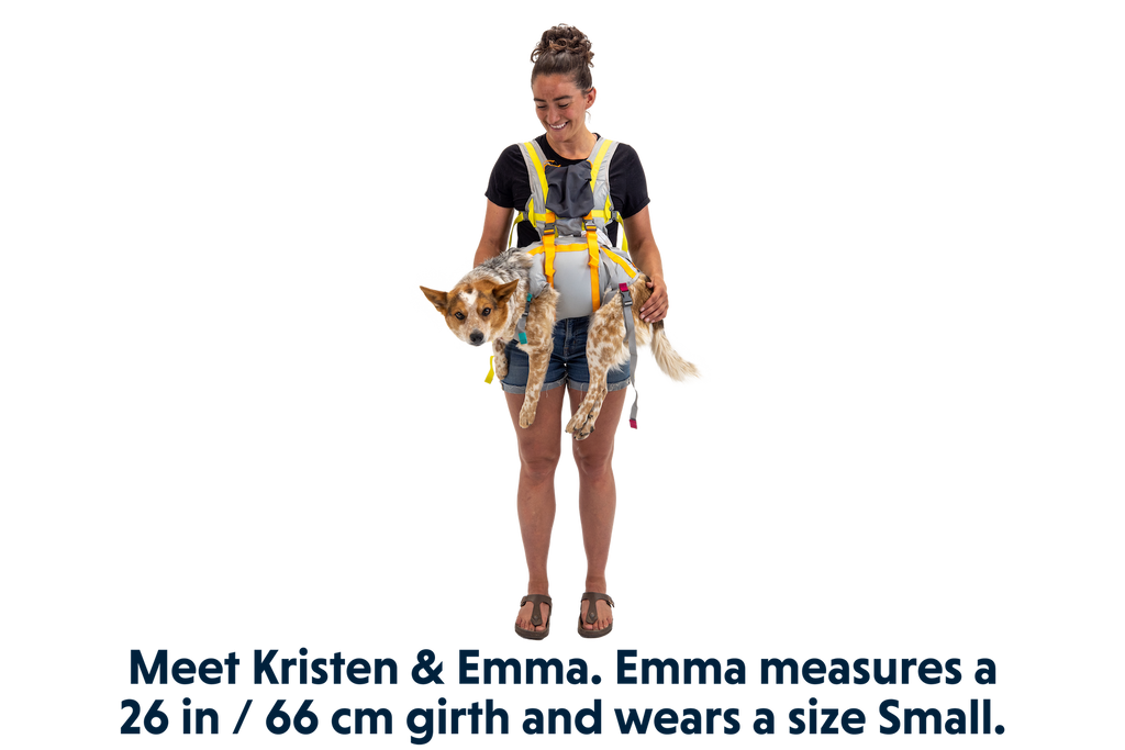 BackTrak™ Dog Evacuation Kit