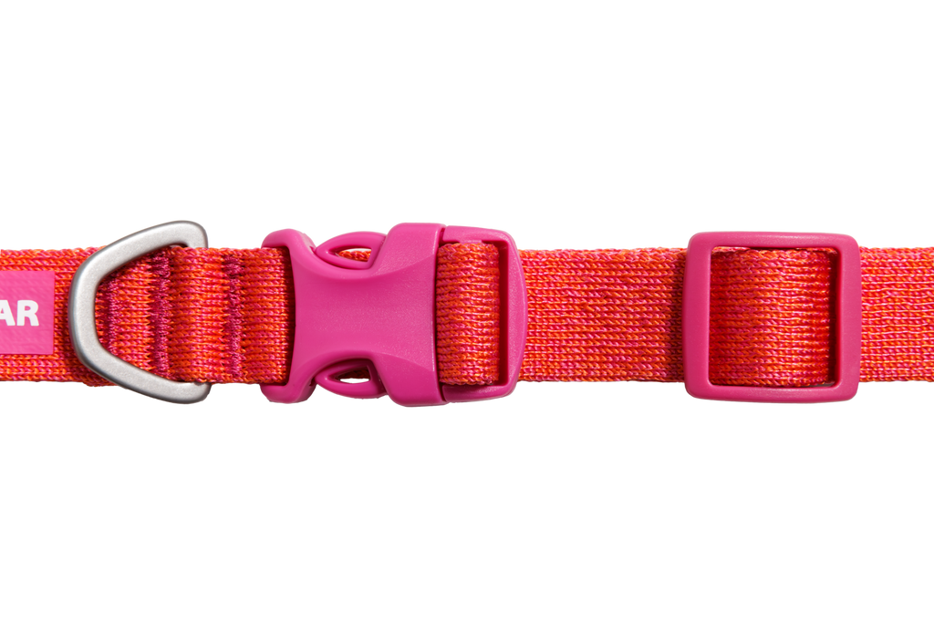 Front Range®  Flex Collar
