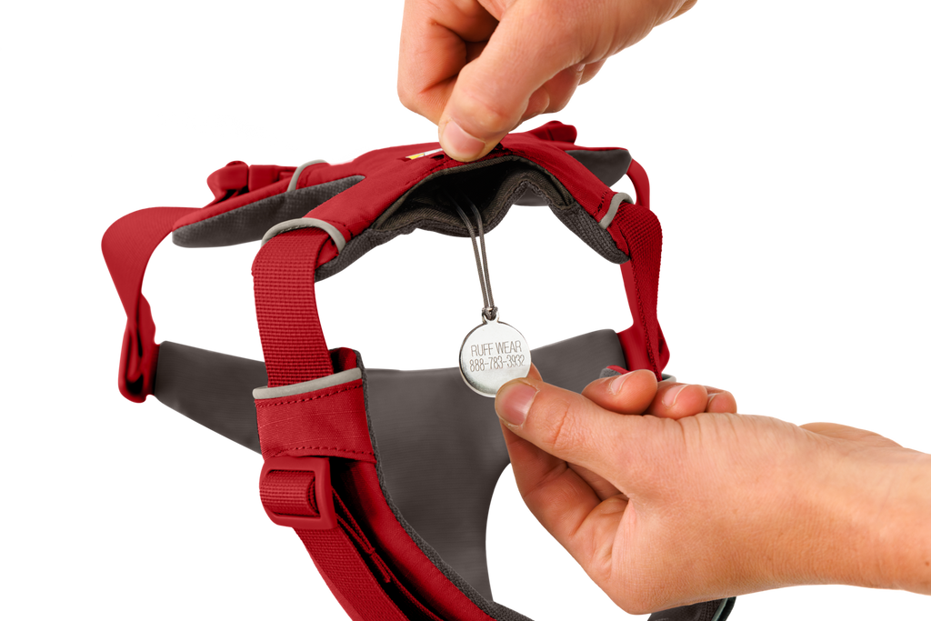 Front Range® Harness