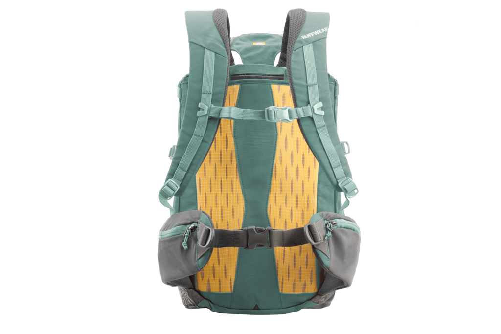 Hitch Hiker™ Dog Backpack Carrier