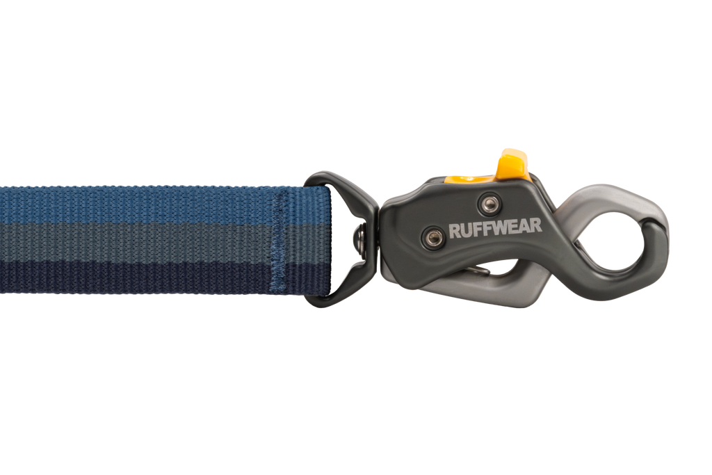 Roamer Lock™  Bungee Dog Leash