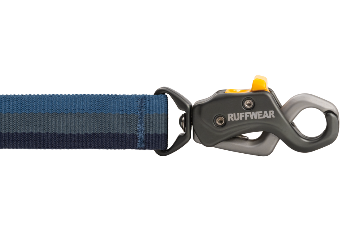 Roamer Lock™  Bungee Dog Leash