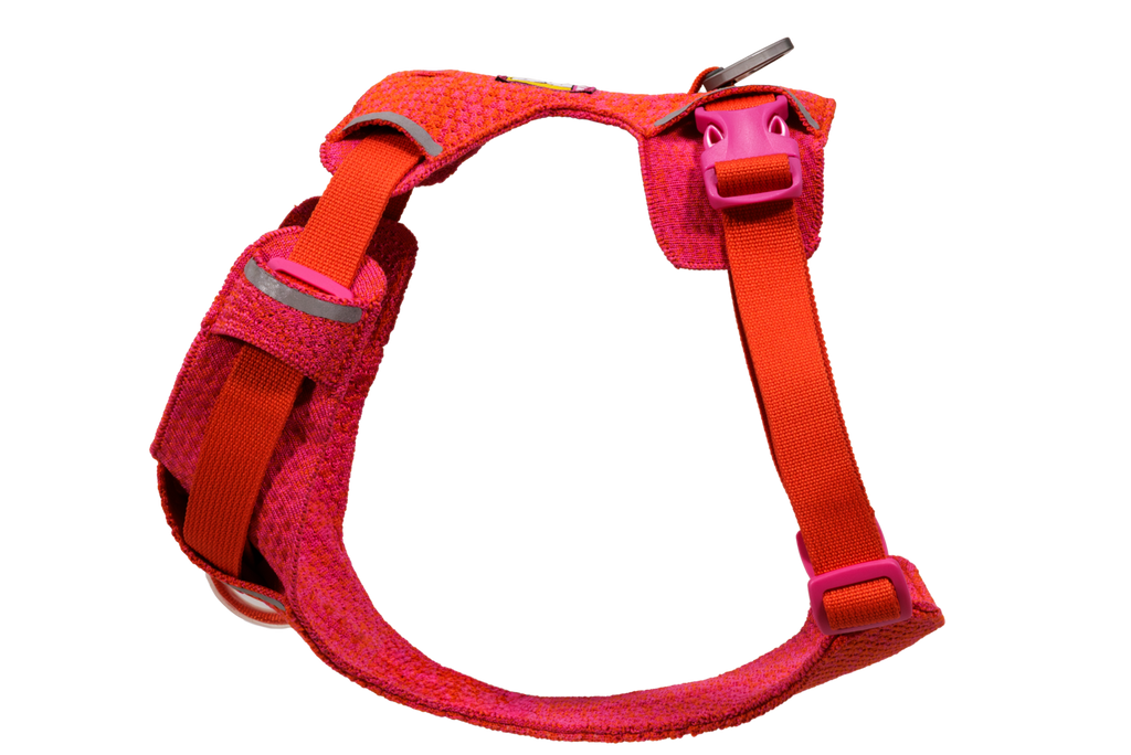 Front Range® Flex Harness
