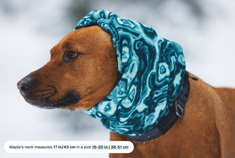 Mt. Hoodie™ Warming Neck Gaiter