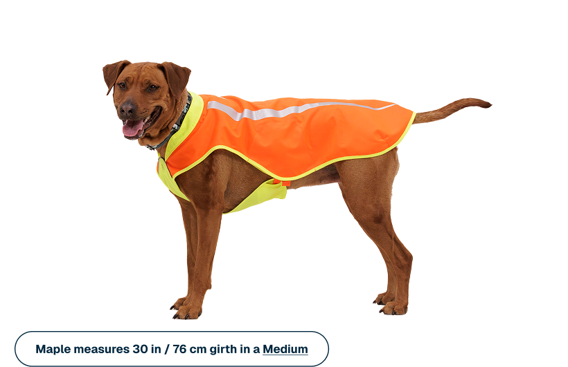 Lumenglow™ High-Vis Vest
