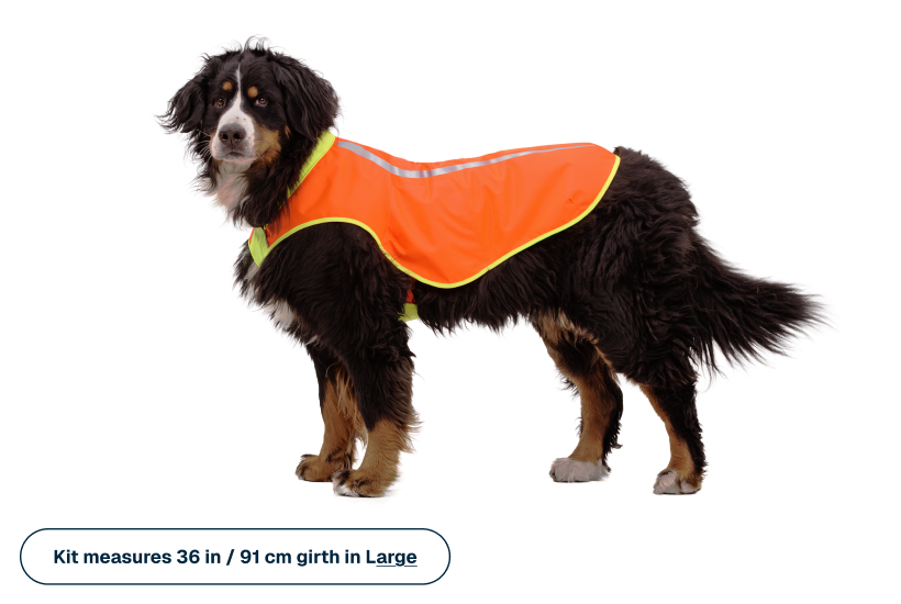 Lumenglow™ High-Vis Vest