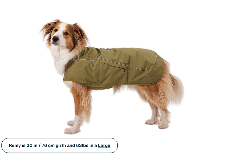 Overcoat Fuse™ Insulated Vest