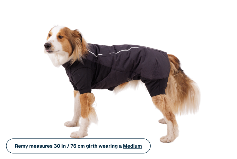 Powder Hound™ Waterproof Insulated Coverall