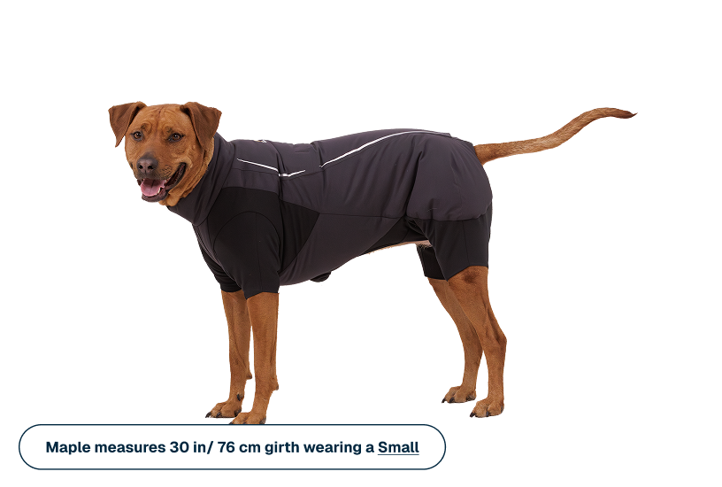 Powder Hound™ Waterproof Insulated Coverall