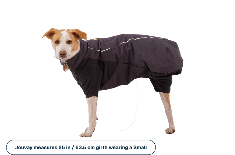 Powder Hound™ Waterproof Insulated Coverall