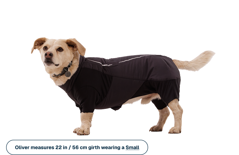 Powder Hound™ Waterproof Insulated Coverall