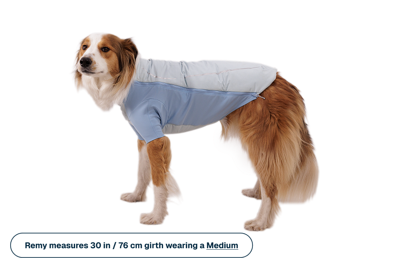Powder Hound™ Waterproof Insulated Jacket
