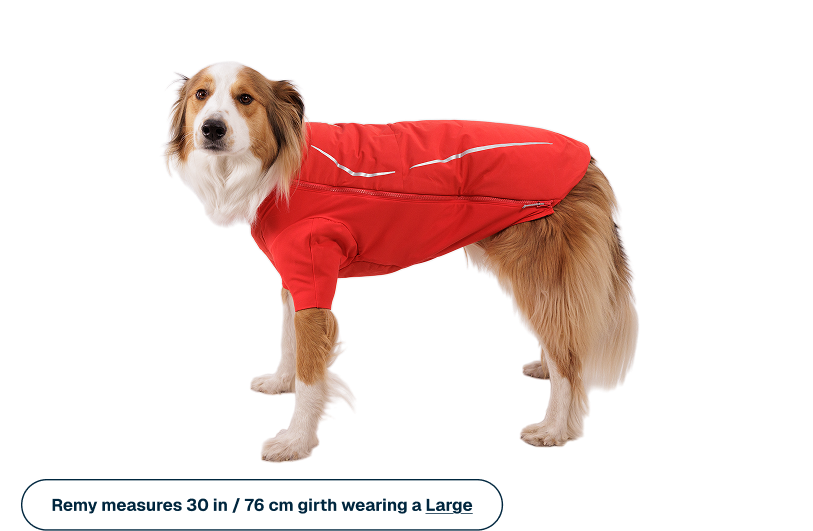 Powder Hound™ Waterproof Insulated Jacket