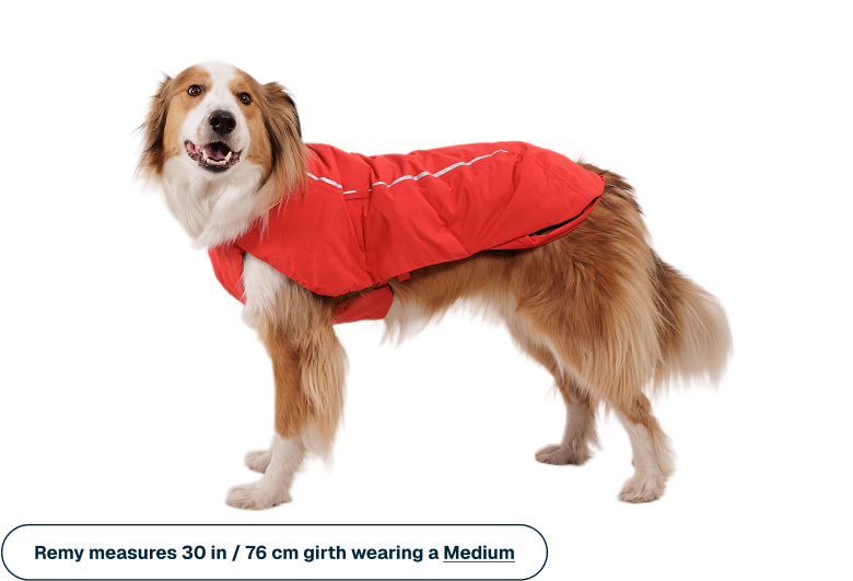 Powder Hound™ Waterproof Insulated Vest